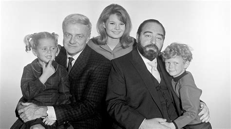 family affair television show|who played on family affair.